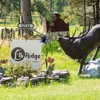 Elk Ridge Bed & Breakfast gallery