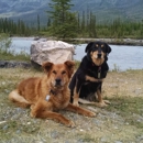 Waggin' Tails Retreat - Pet Boarding & Kennels