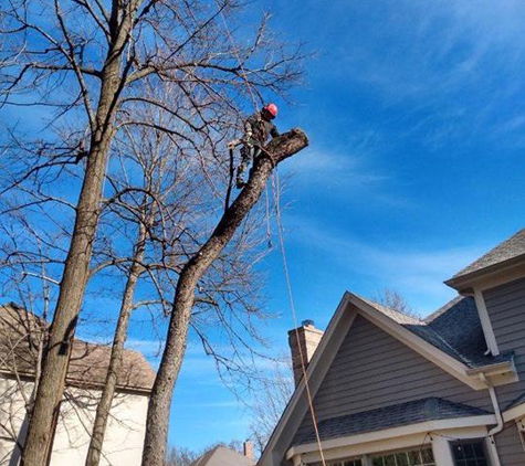 NJE Tree Service & Landscaping, Inc. - Harvard, IL