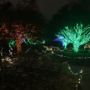 Atlanta Botanical Garden - Atlanta, GA. Lights