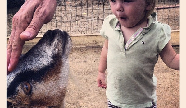 Zoomars Petting Zoo - San Juan Capistrano, CA