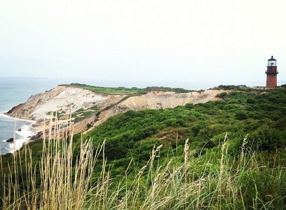 On the Cliffs - Aquinnah, MA