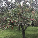 Sewall Orchard - Farms