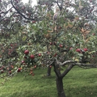 Sewall Orchard