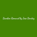 Bamboo Removal by Jose Benitez Landscaping Design - Landscape Designers & Consultants