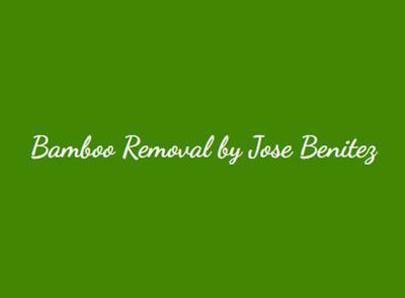 Bamboo Removal by Jose Benitez Landscaping Design - Wyandanch, NY