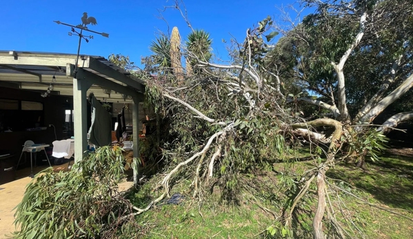 Mojo Tree And Stump Removal - Cowes, VIC