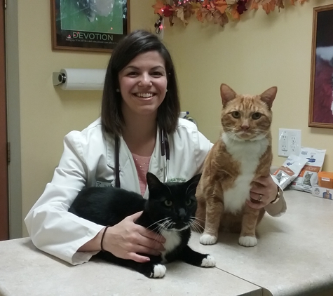 Tender Touch Veterinary Hospital - Wexford, PA. Dr. Becky Brill