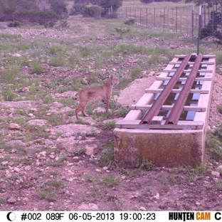 Pinto Ranch - Hunt, TX