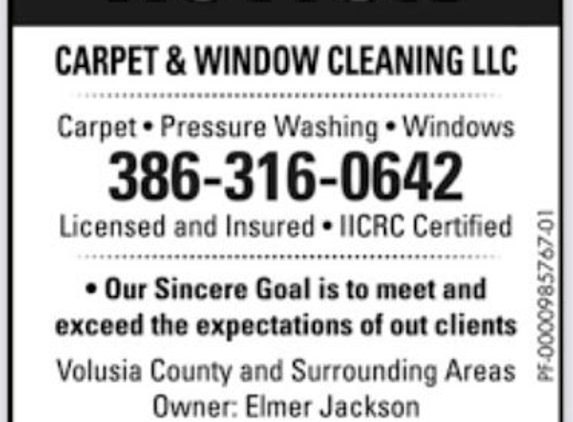 Action carpet and window cleaning