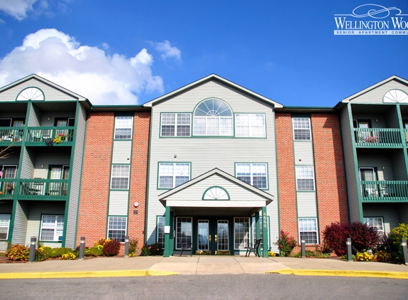 Wellington Woods Senior Community - Grand Rapids, MI