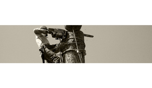 Irwin Clements Tree Service - Hobart, TAS