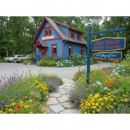 Med- Pointe Holistic Solutions - Massage Therapists