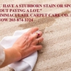Immaculate Carpet Care Co. gallery