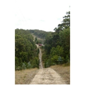 Gallery Image Number 5
