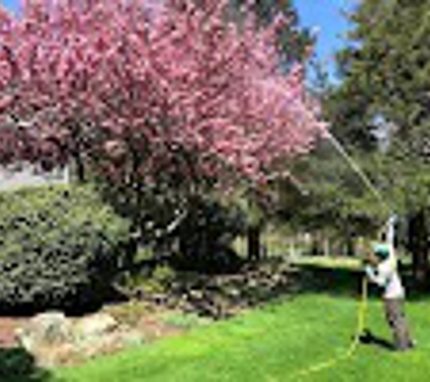 SavATree - Tree Service & Lawn Care - Exeter, RI