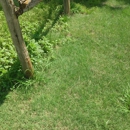 Turf Doctor