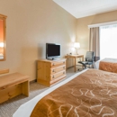 Comfort Suites Louisville Airport - Motels