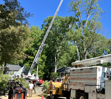 Longhorn Tree Service