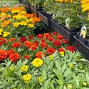 Deep Creek Garden Center - Garden Centers