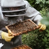 Autauga Pest Control gallery