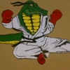 Central Florida Karate Studios gallery