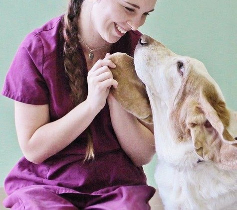 TLC Animal Hospital - Houston, TX