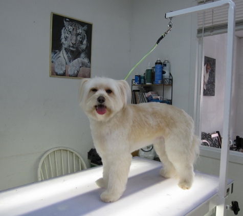 Pawsitively Groomed Pet Salon - Burlingame, CA