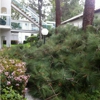 Greenbrier Lawn & Tree Expert Co. gallery
