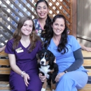 The Whole Pet Vet Hospital & Wellness Center - Veterinarians