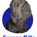 Corsos R US - Pet Breeders