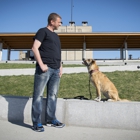 Canine Cohen Dog Training and Behavior Modification