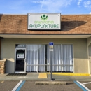 Dawn Potter Acupuncture - Acupuncture