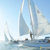 San Diego Sailing Tours gallery