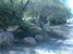 Palmbuddha - Nurseries-Plants & Trees