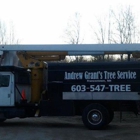 Andrew Grant's Tree Service