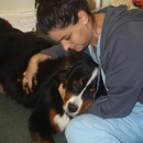 Montvale Animal Hospital - Veterinary Clinics & Hospitals