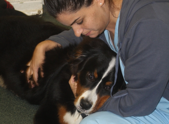 Montvale Animal Hospital - Montvale, NJ