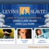 Levine & Slavit gallery
