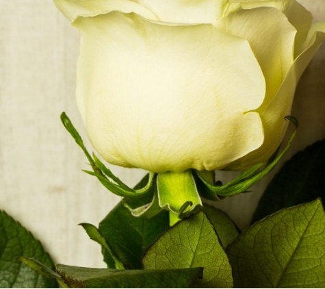 Fulham Funerals - Underdale, SA