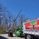 Timber Source Professional Tree Services