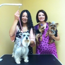 Central Bark On Broadway - Pet Grooming