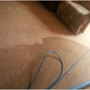 All in One Carpet, Tile, and Upholstery Cleaning - Upholstery Cleaners