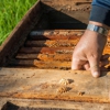 All-Delta Pest Control Inc gallery