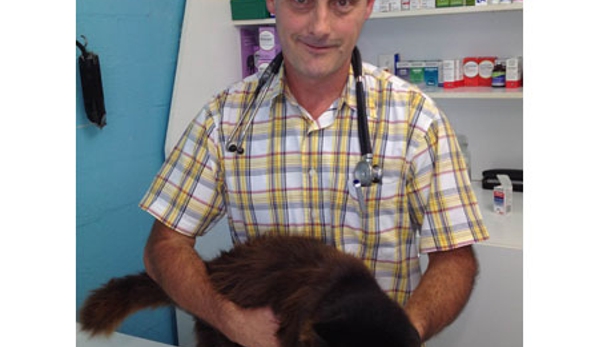 Sunshine Beach Veterinary Surgery - Sunshine Beach, QLD