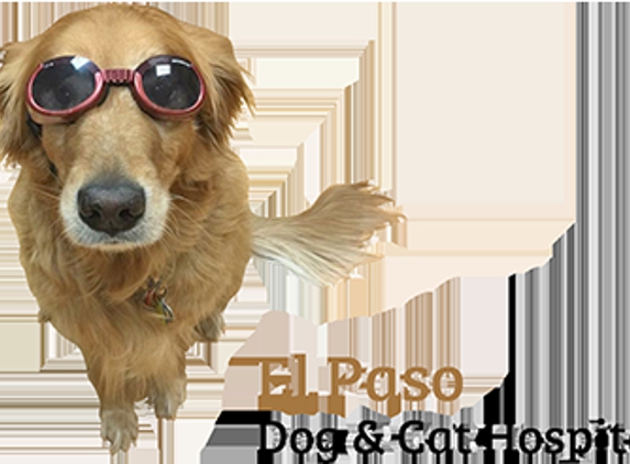 El Paso Dog and Cat - El Paso, TX
