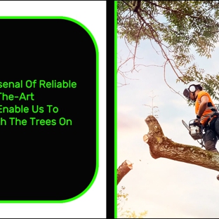 Rob's Tree Service - Tyers, VIC. We Have An Arsenal Of Reliable & State-Of-The-Art Equipment To Enable Us To Work Safely With The Trees On Your Property