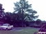 Turner Paving & Construction - Asphalt Paving & Sealcoating
