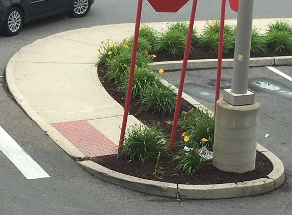 Starbucks Coffee - Stoughton, MA