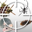 Absolute Pest Control - Bee Control & Removal Service